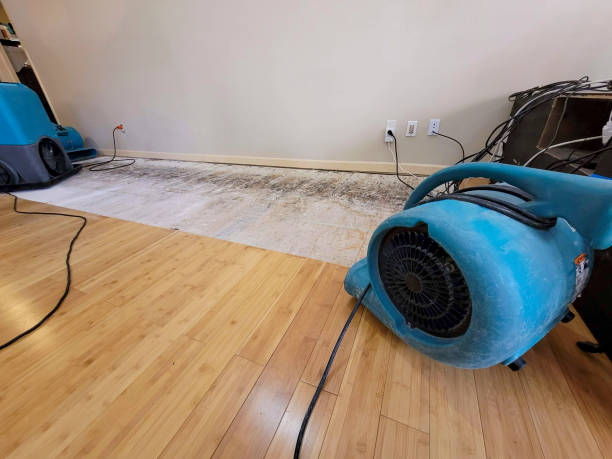 Professional Water Damage Repair technician working in Cropwell, AL